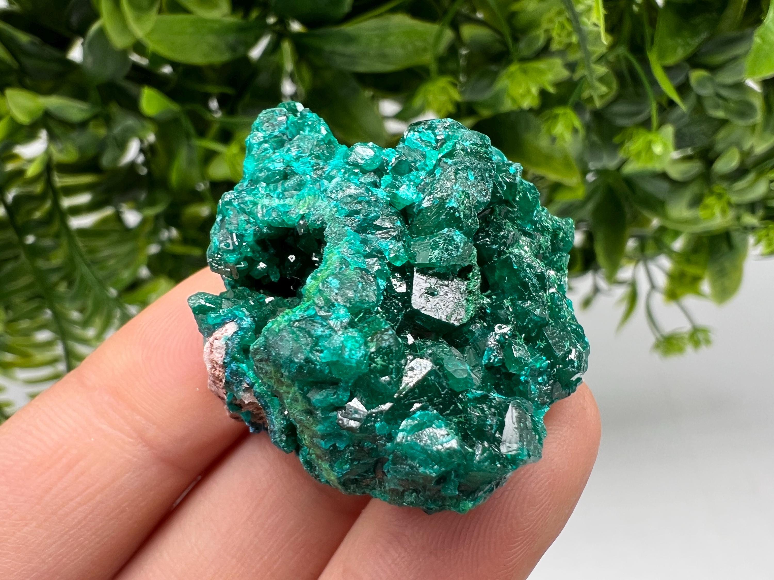 Stunning Green Dioptase from Sanda Hills,Mindouli,Pool Department,Mindouli District,Congo,green Dioptase,Dioptas Crystal,Dioptase collecting