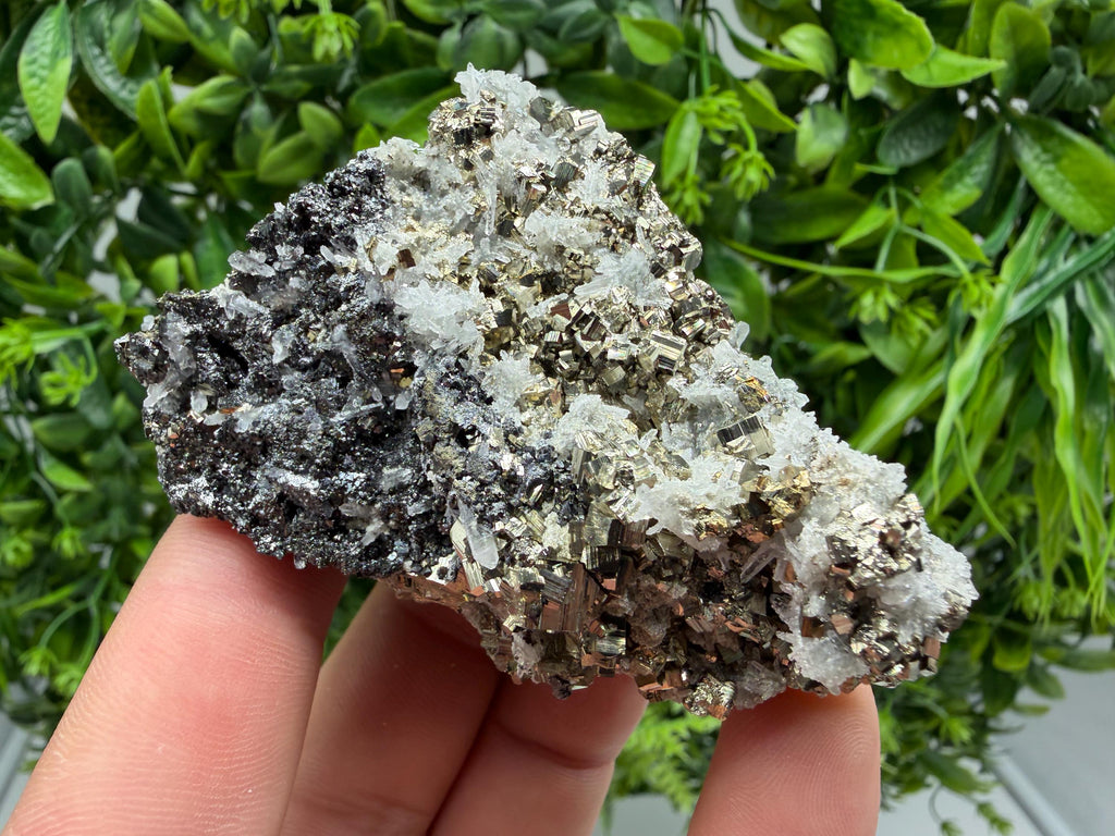 Pyrite Sphalerite Quartz  Mineral Specimen, Krushev dol Mine