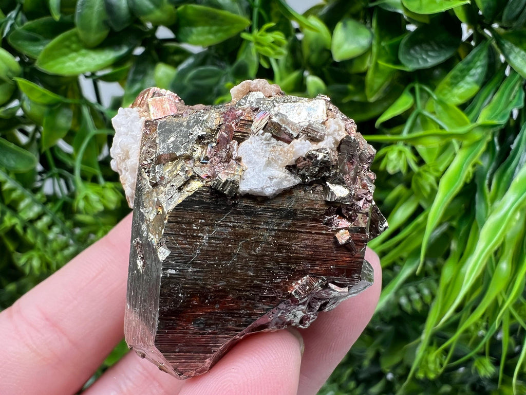 Rainbow Pyrite with Calcite, Natural Mineral Souvenir, Borieva Bulgaria