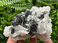 Sphalerite with Calcite and Quartz, Bulgaria Mineral Specimen
