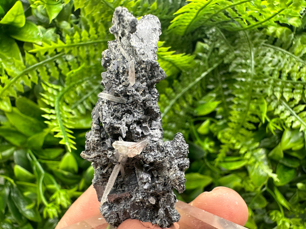 Rare Skeletal Galena Cluster, Bulgaria Mineral Specimen