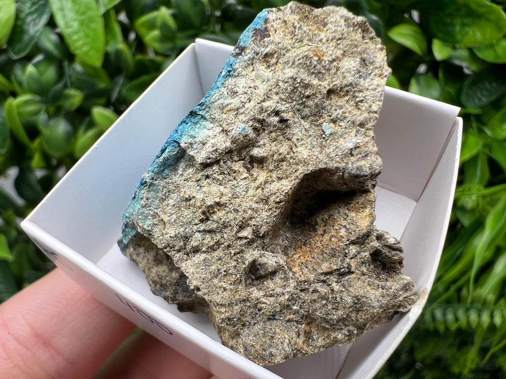Rare Raw Aerinite Mineral Specimen: Lleida Spain Collection Crystal