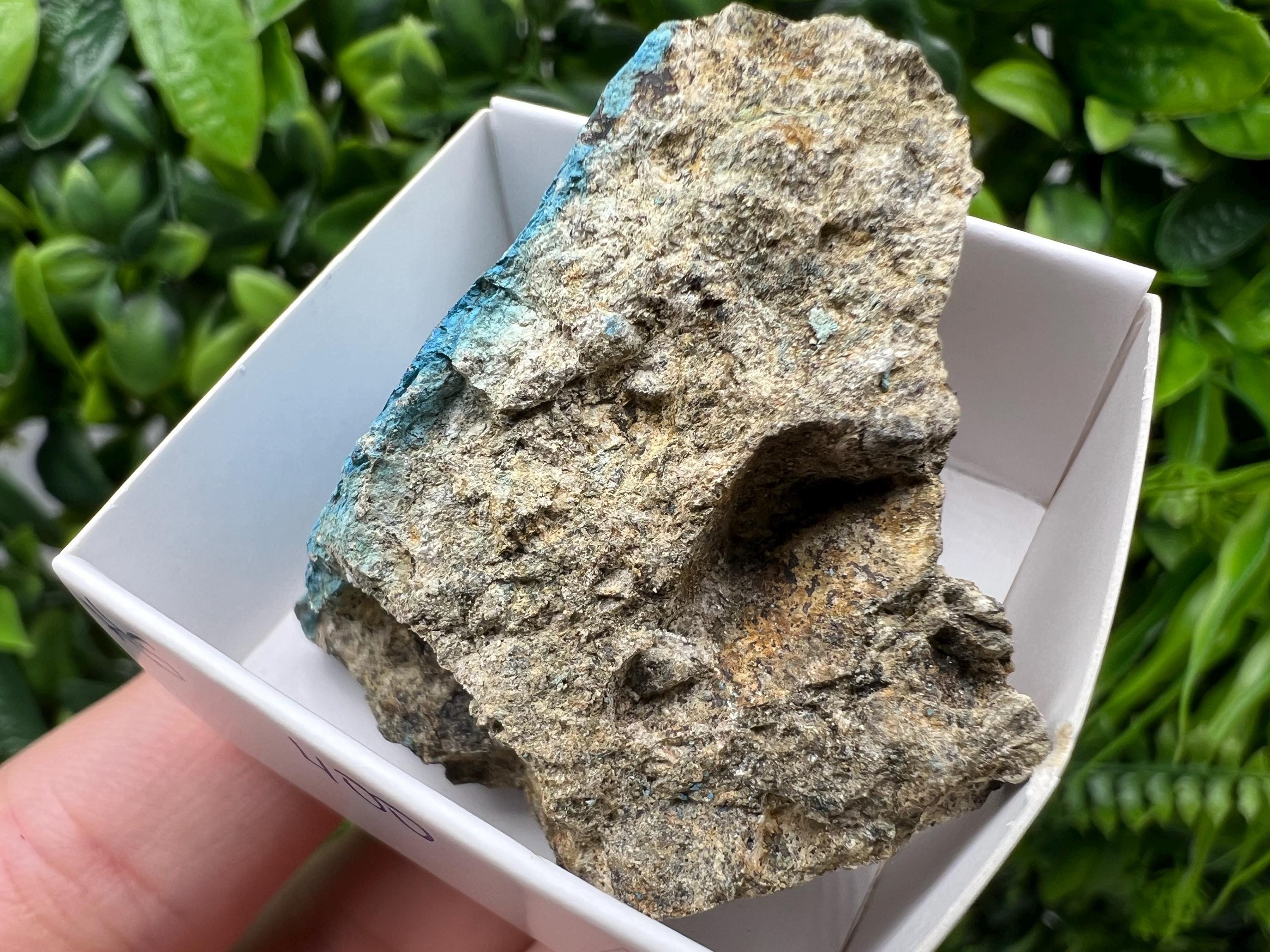 Rare Raw Aerinite Mineral Specimen: Lleida Spain Collection Crystal