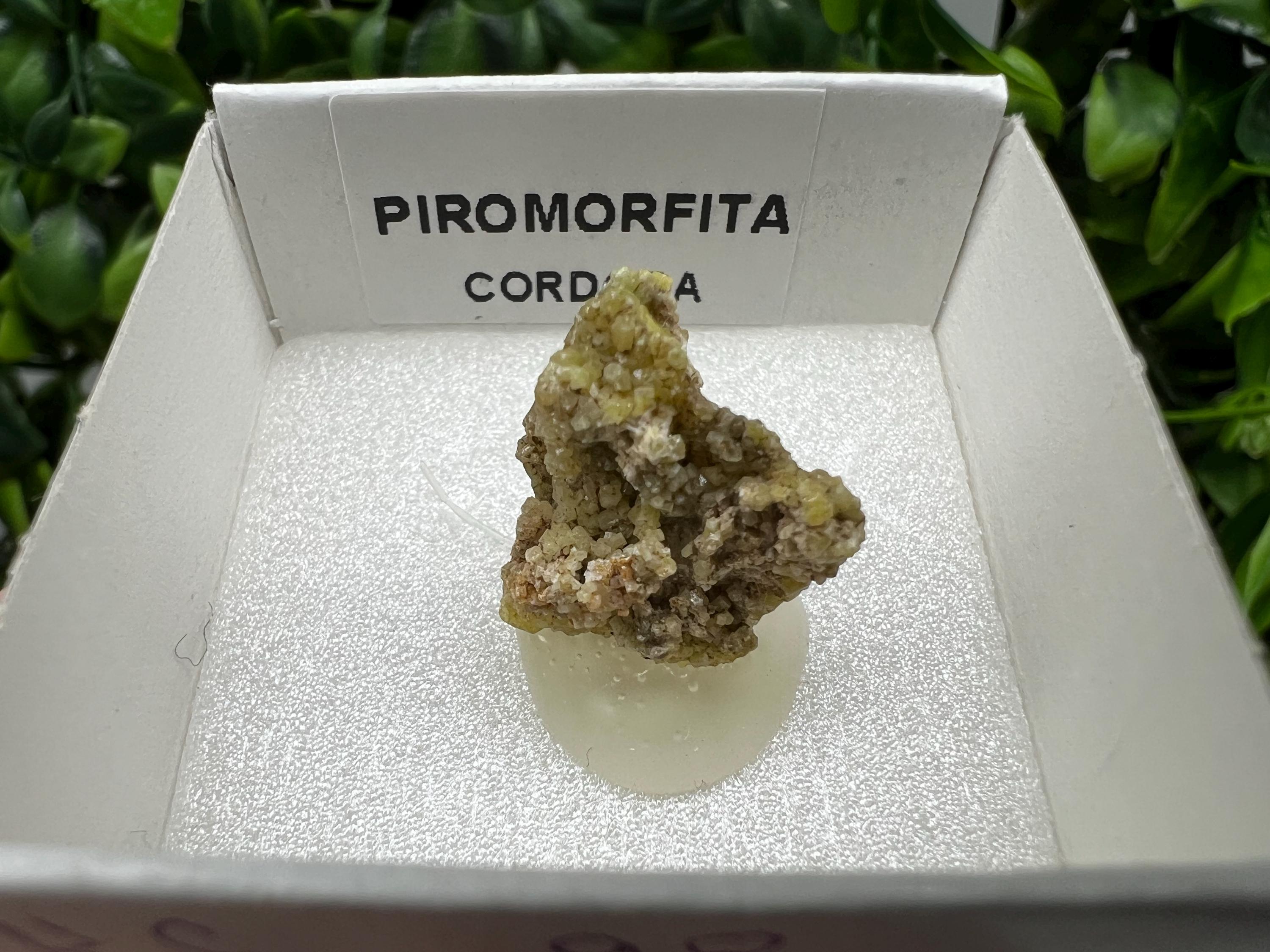 Pyromorphite Stone / Pyromorphite on Matrix / Pyromorphite Crystal / Raw Crystal / Pyromorphite Cluster / Rough Pyromorphite / Pyromorphite