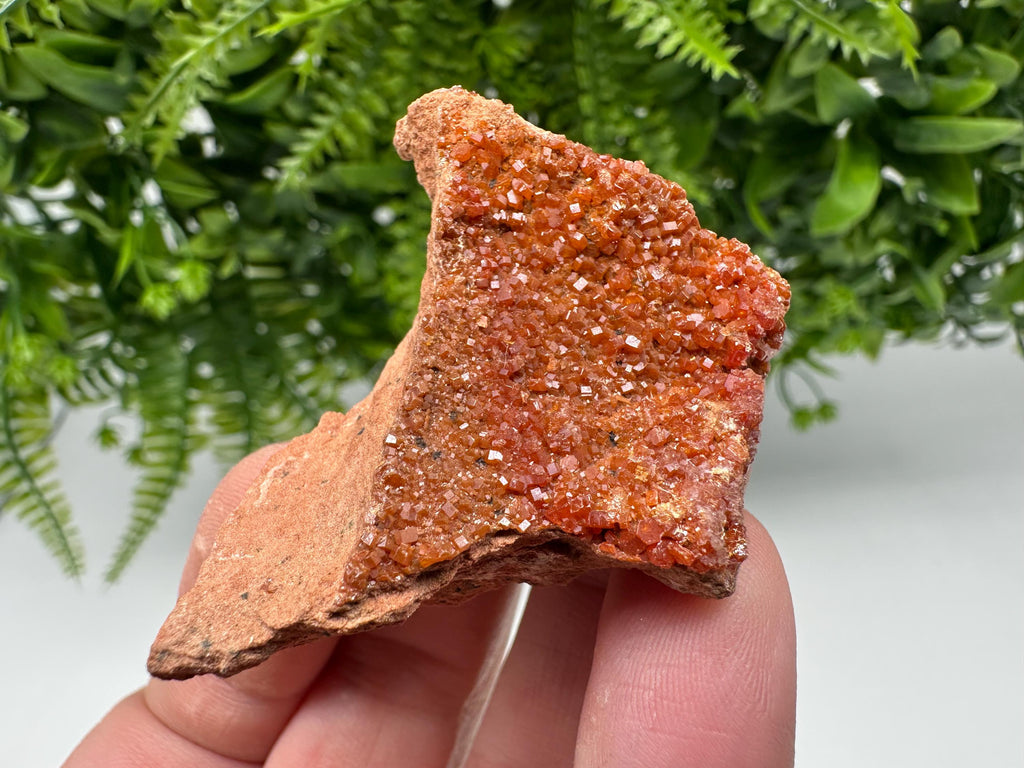 Red Vanadinite on Matrix from Marocco,crystal minerals Speciment cluster Vanadinite crystal Vanadinite Geology Vanadinite cluster minerals