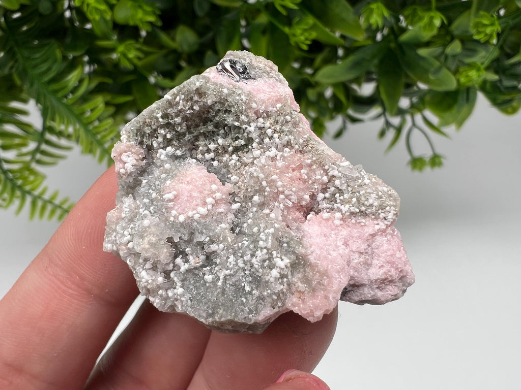 RARE Rhodochrosite with Calcite, Starnica Mine, Bulgaria