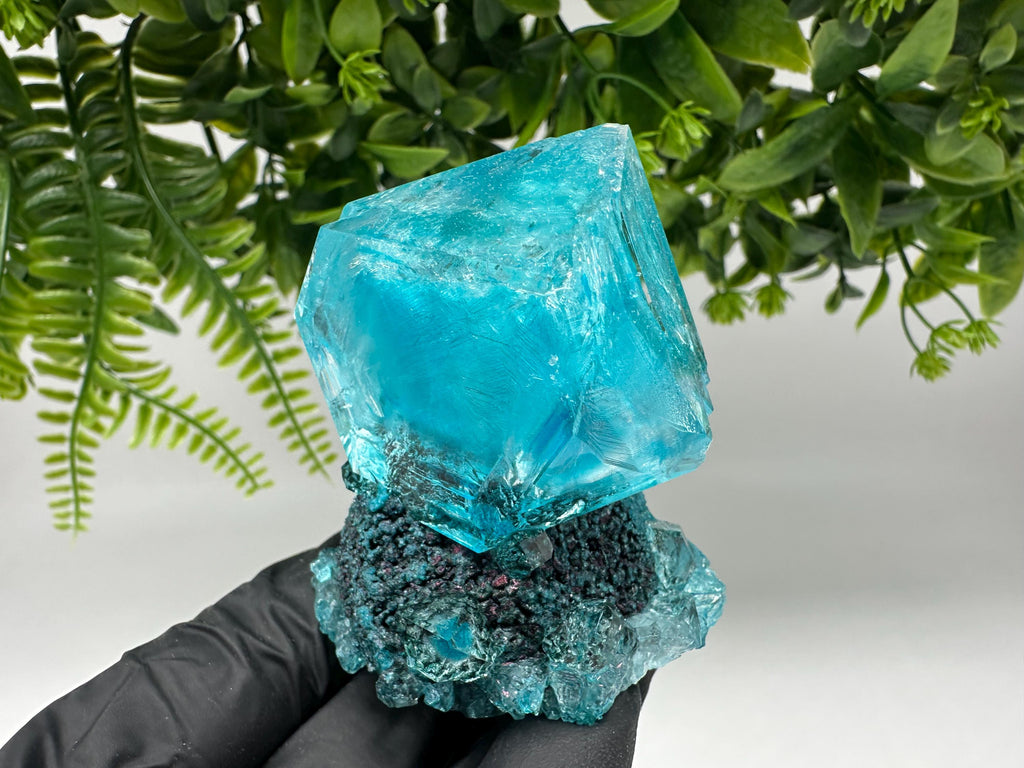 Exceptional Turquoise ALUNITE Aqua Crystal on Matrix UV Active, lab minerals