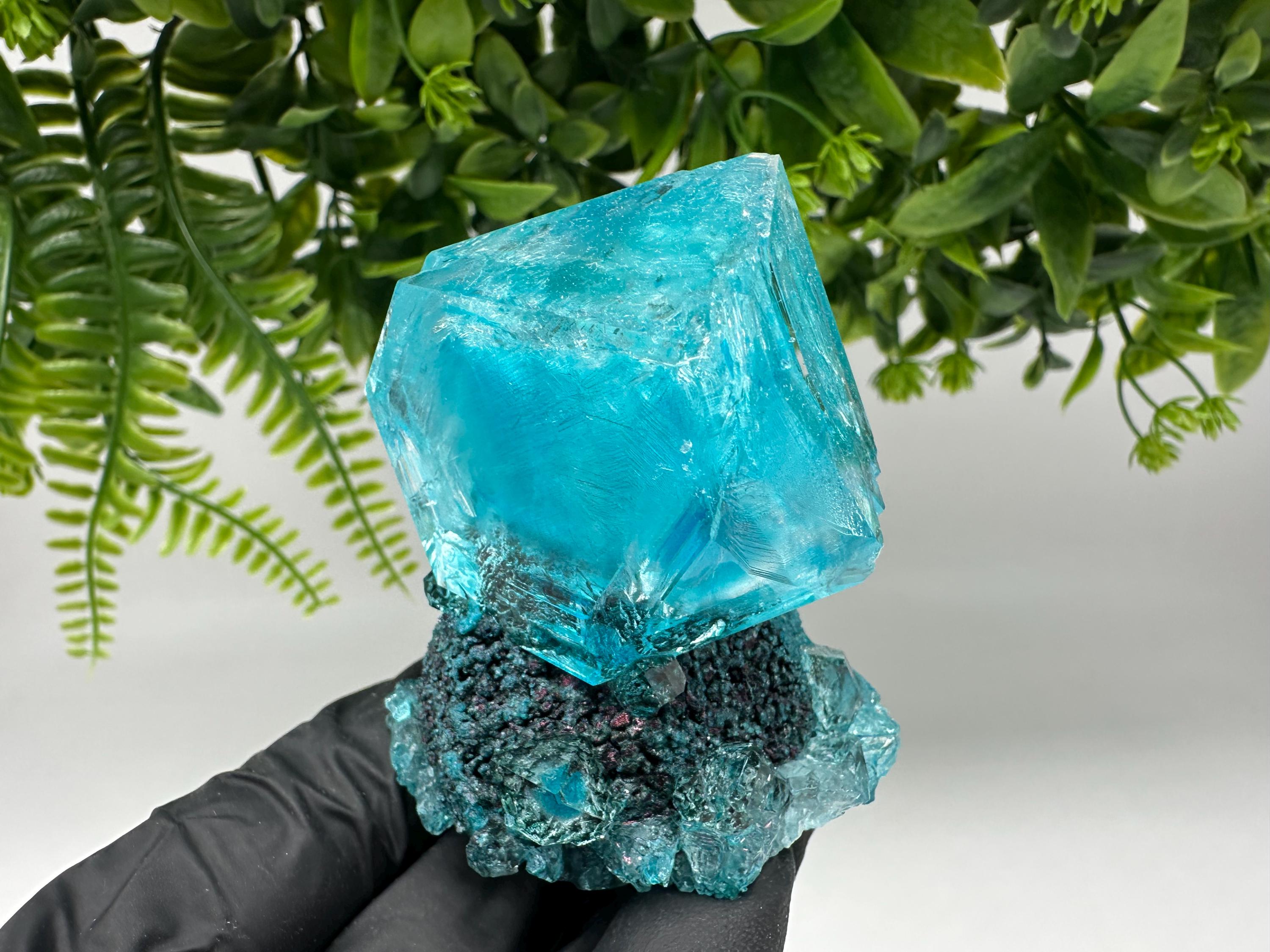 Exceptional Turquoise ALUNITE Aqua Crystal on Matrix UV Active, lab minerals