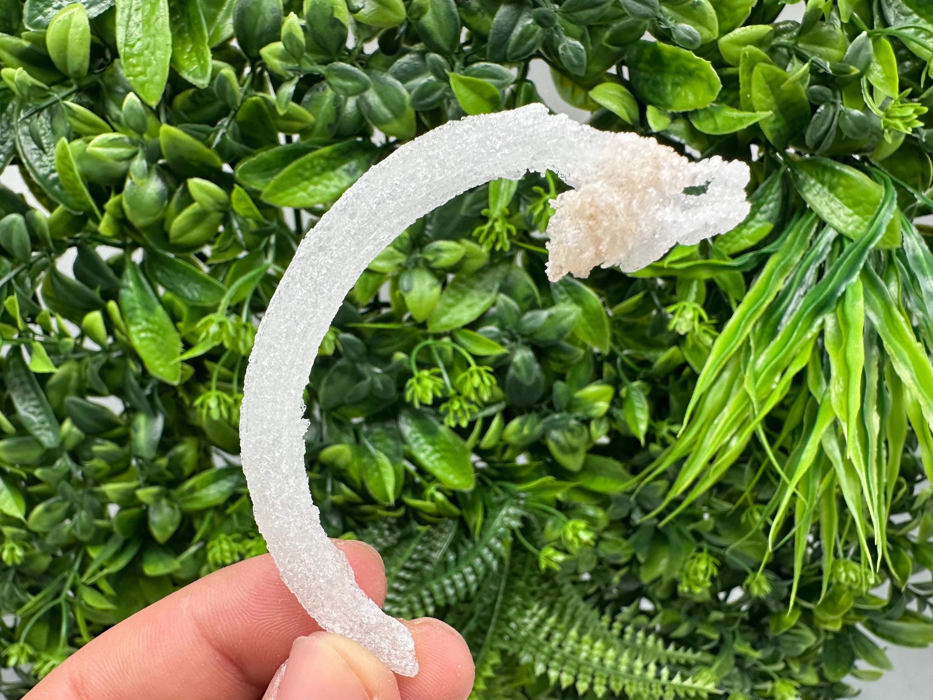 White Selenite Gypsum "Ram's Horn'' Selenite,from Guizhou,China,perfect Shape and Luster,Fluorescent Selenite Gypsum,minerals specimen,colle