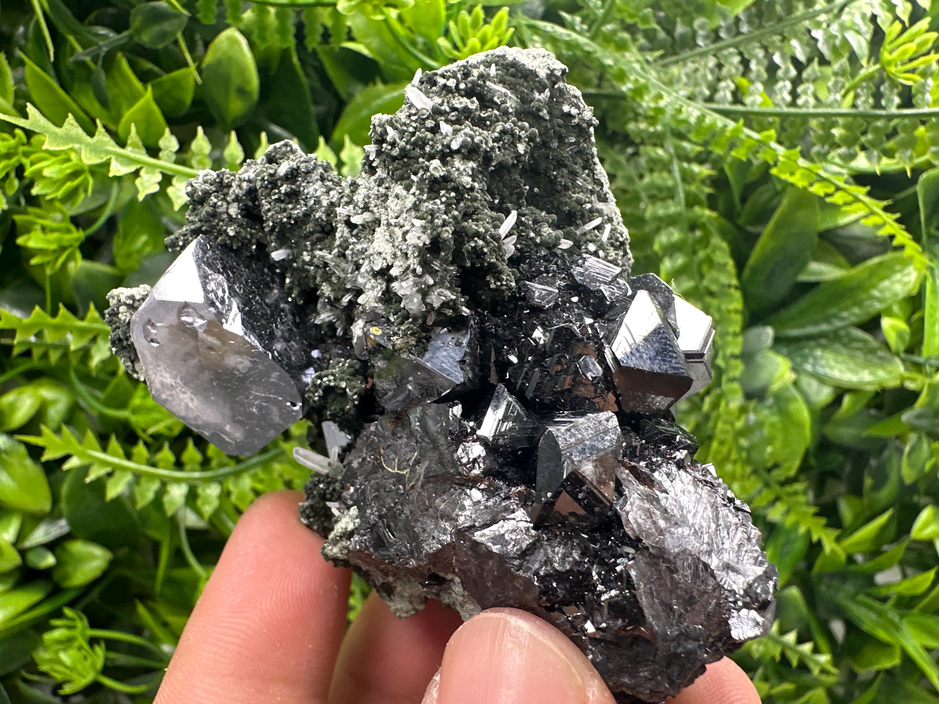 Galena with Black Sphalerite: Natural Minerals Souvenir, Borieva Bulgaria