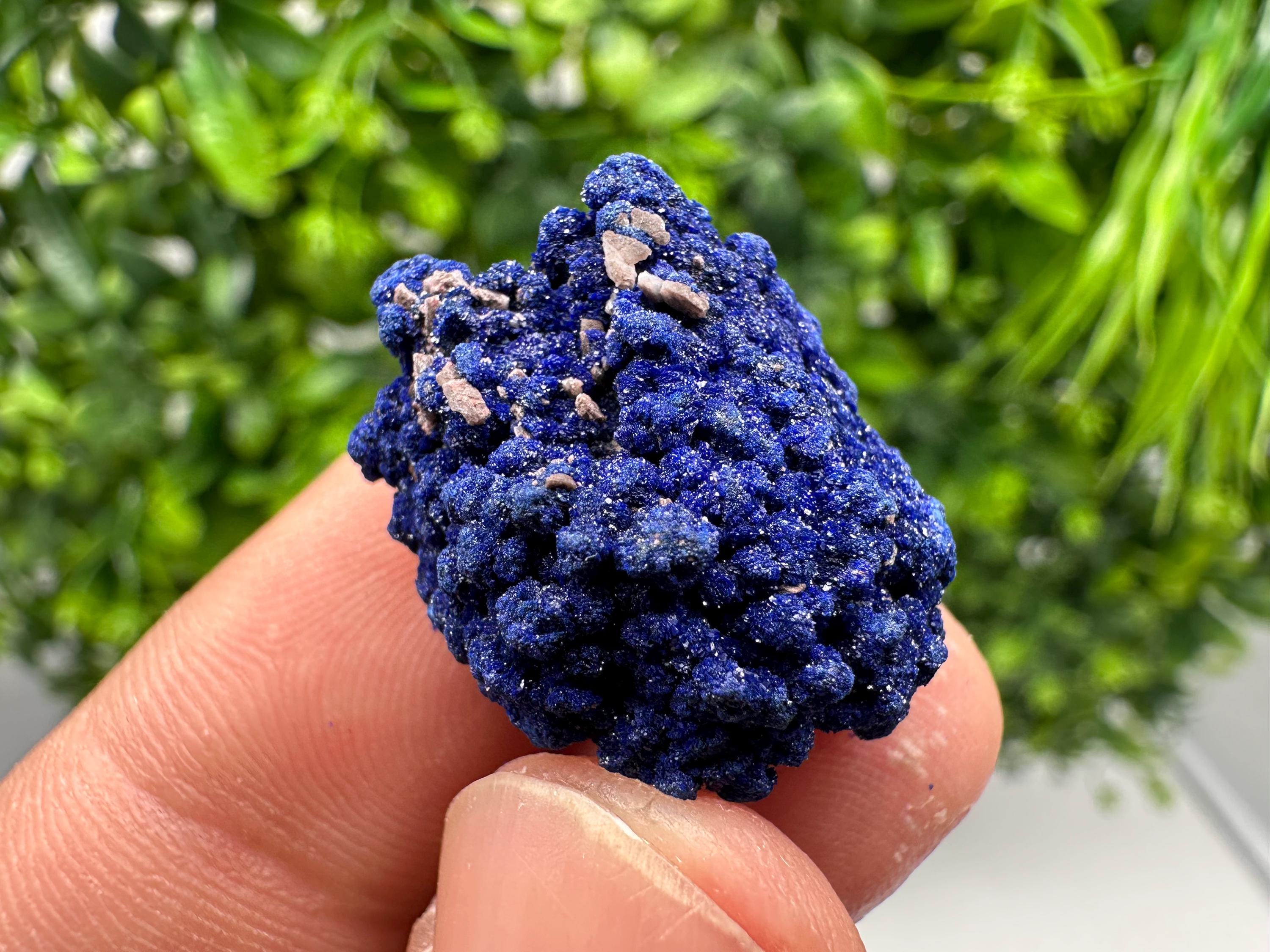 Crystallized Azurite-Kerrouchen,Morocco-Blue Azurite Specimen-High Quality Blue Azurite-Azurite Mineral Specimen, gemmy,lustrous of Azurite