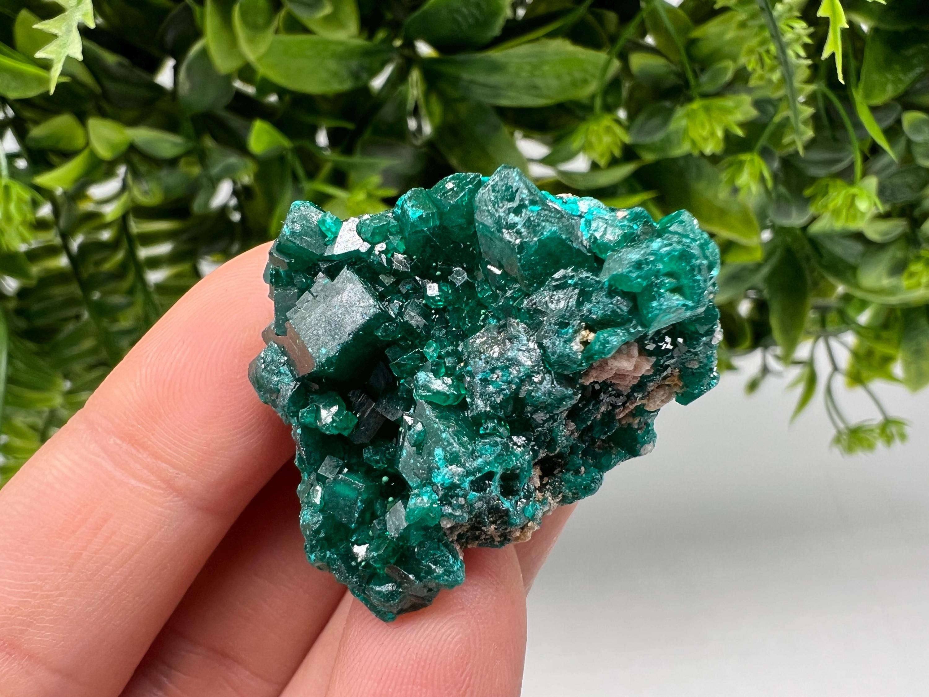 Stunning Green Dioptase from Sanda Hills,Mindouli,Pool Department,Mindouli District,Congo,green Dioptase,Dioptas Crystal,Dioptase collecting