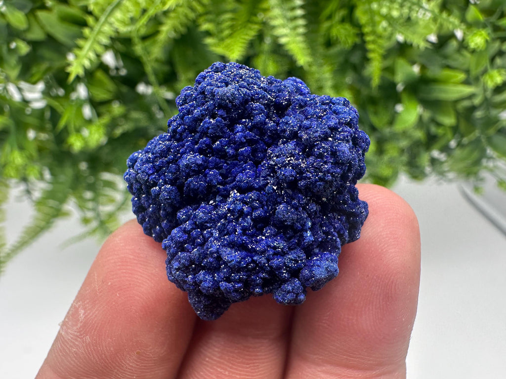 Crystallized Azurite-Kerrouchen,Morocco-Blue Azurite Specimen-High Quality Blue Azurite-Azurite Mineral Specimen, gemmy,lustrous of Azurite