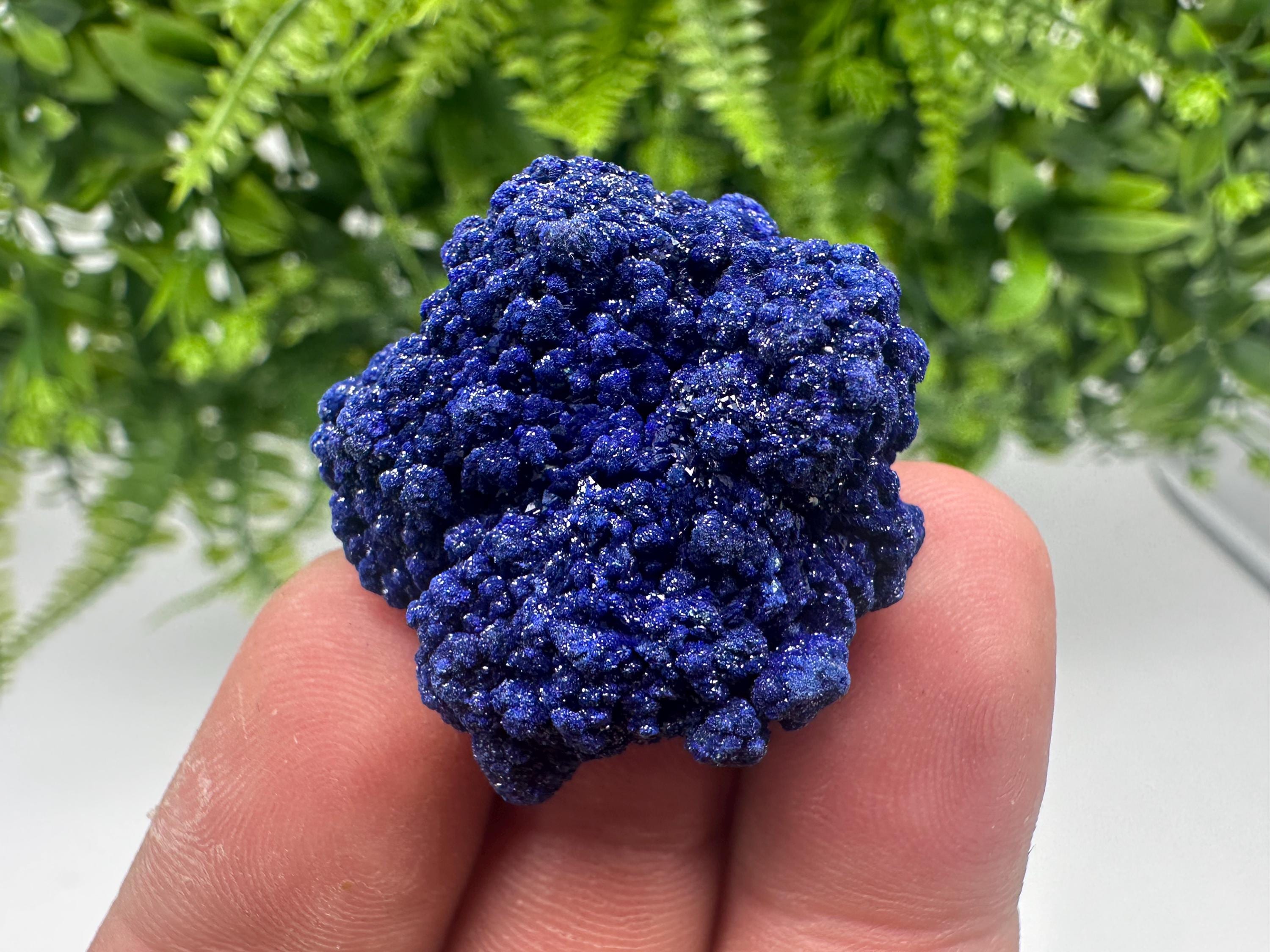 Crystallized Azurite-Kerrouchen,Morocco-Blue Azurite Specimen-High Quality Blue Azurite-Azurite Mineral Specimen, gemmy,lustrous of Azurite