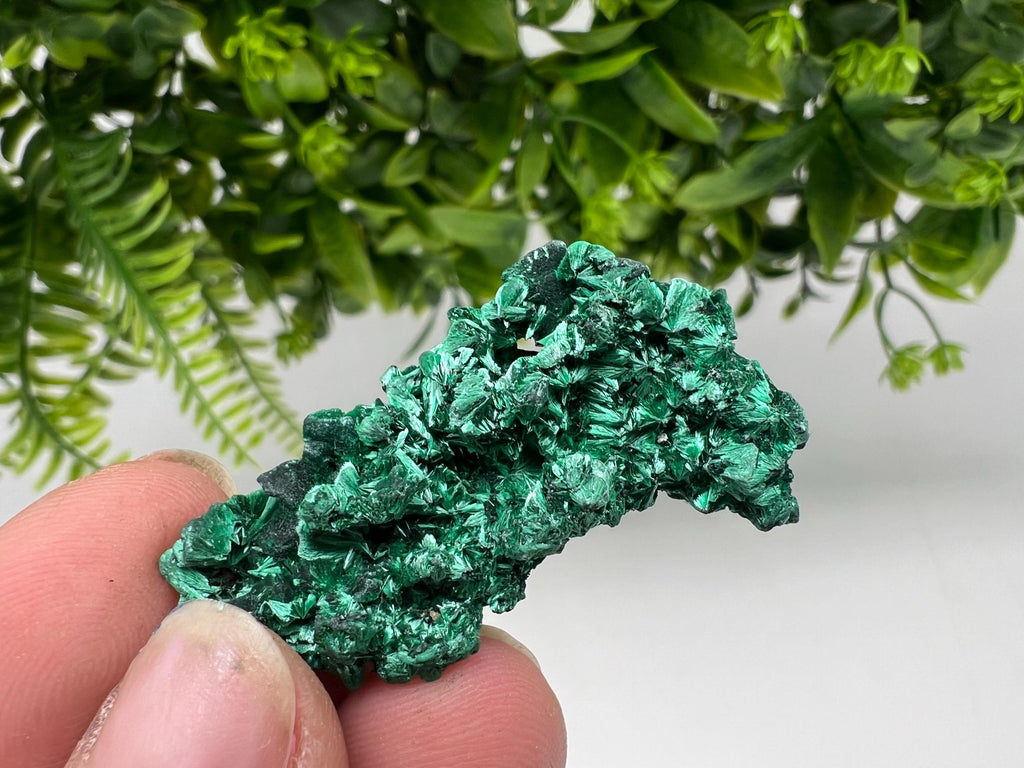 Malachite Crystal from Congo,Minerals,Crystals from Congo,Green Malachite, Malachite,Natural Malachite,Malachite Stone,Chakra, Specimens