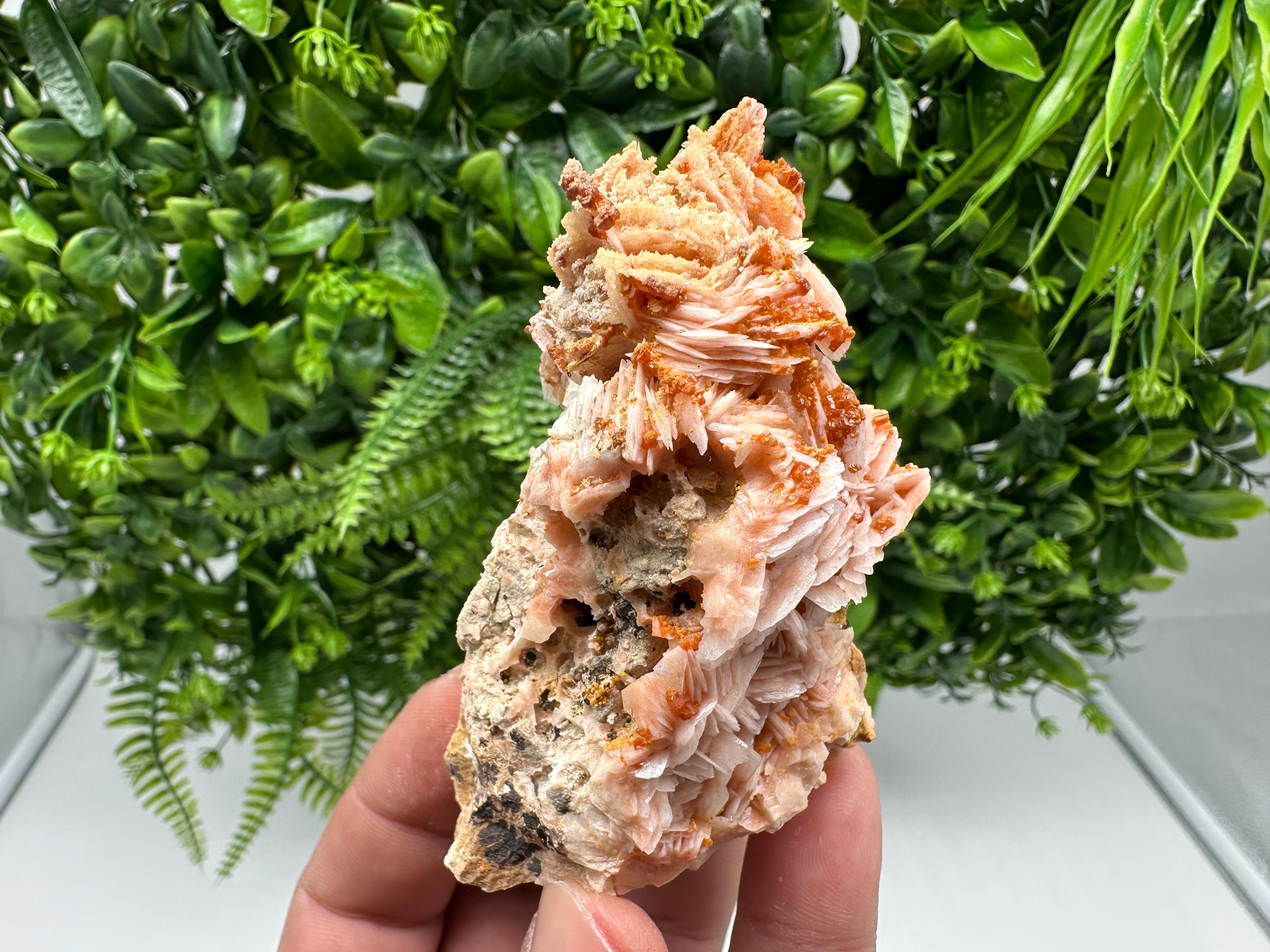 Red Vanadinite on Barite from Marocco,crystal minerals Speciment cluster Vanadinite crystal Vanadinite Geology Vanadinite cluster minerals