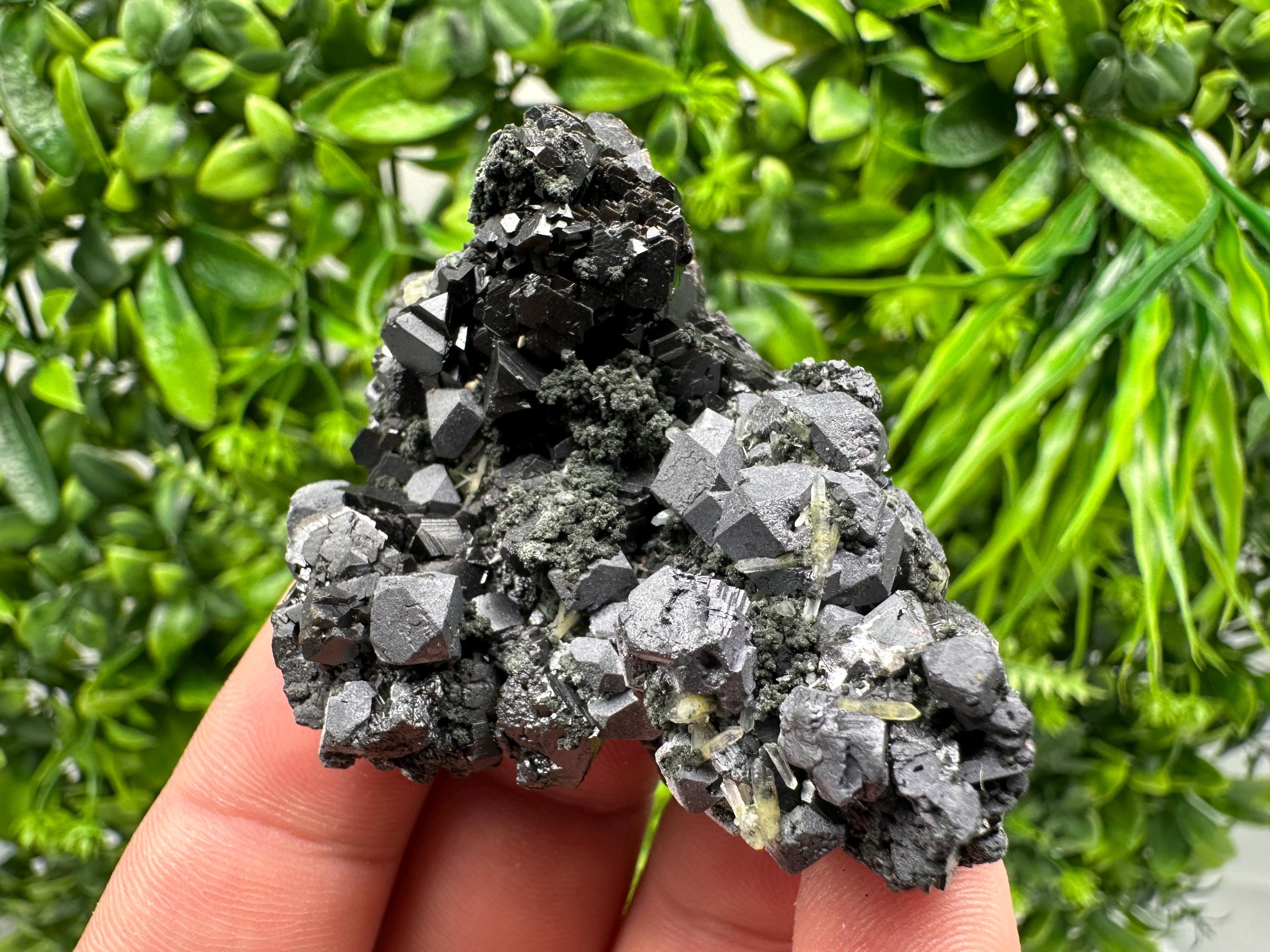 Sphalerite Galena Chlorite Cluster, Borieva Mine, Bulgaria