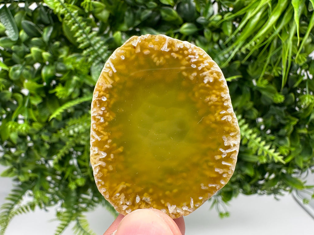 Agate Slice: Spiritual Healing Crystal Coaster Ornament