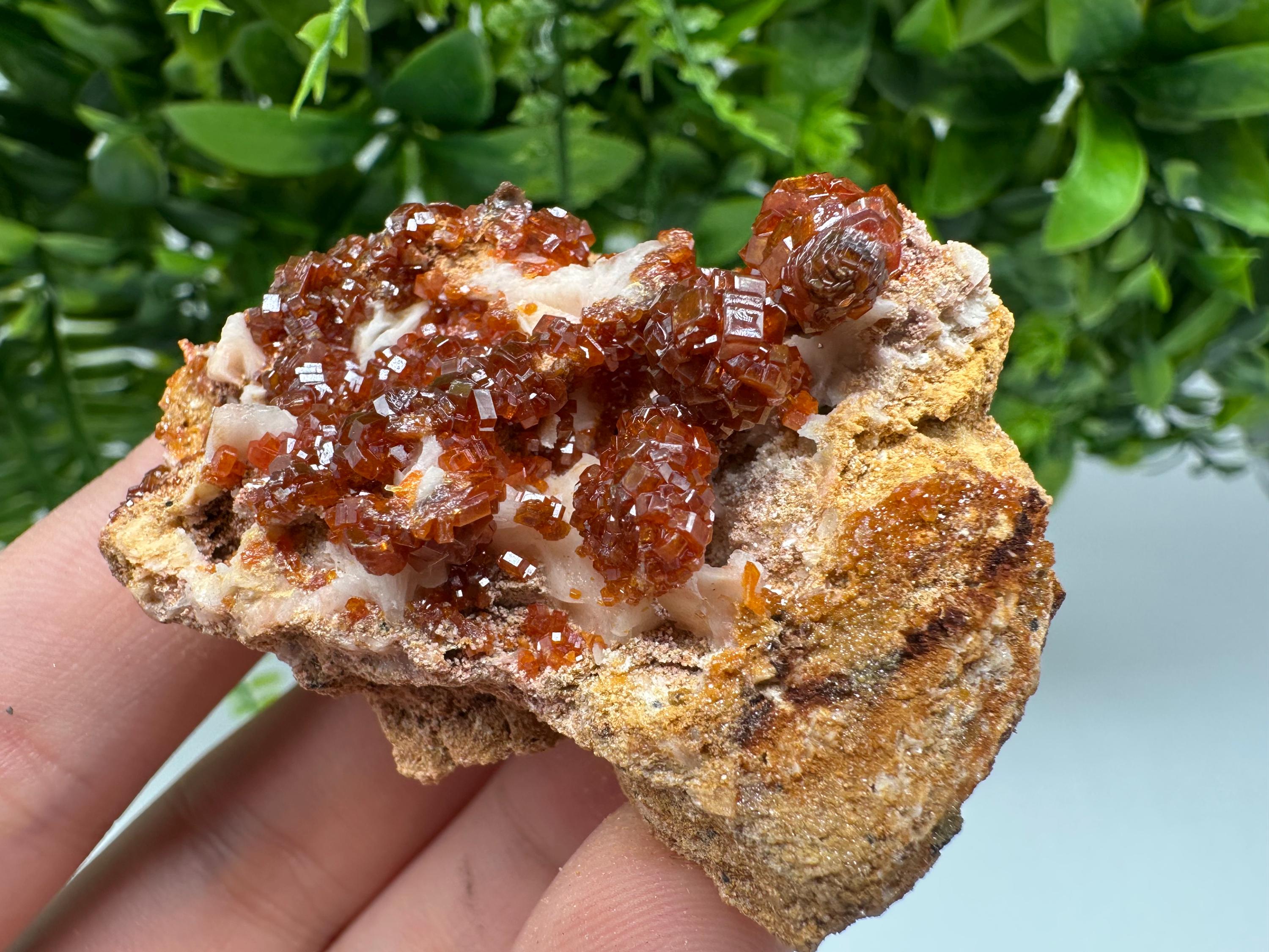 Red Vanadinite on Barite from Marocco,crystal minerals Speciment cluster Vanadinite crystal Vanadinite Geology Vanadinite cluster minerals