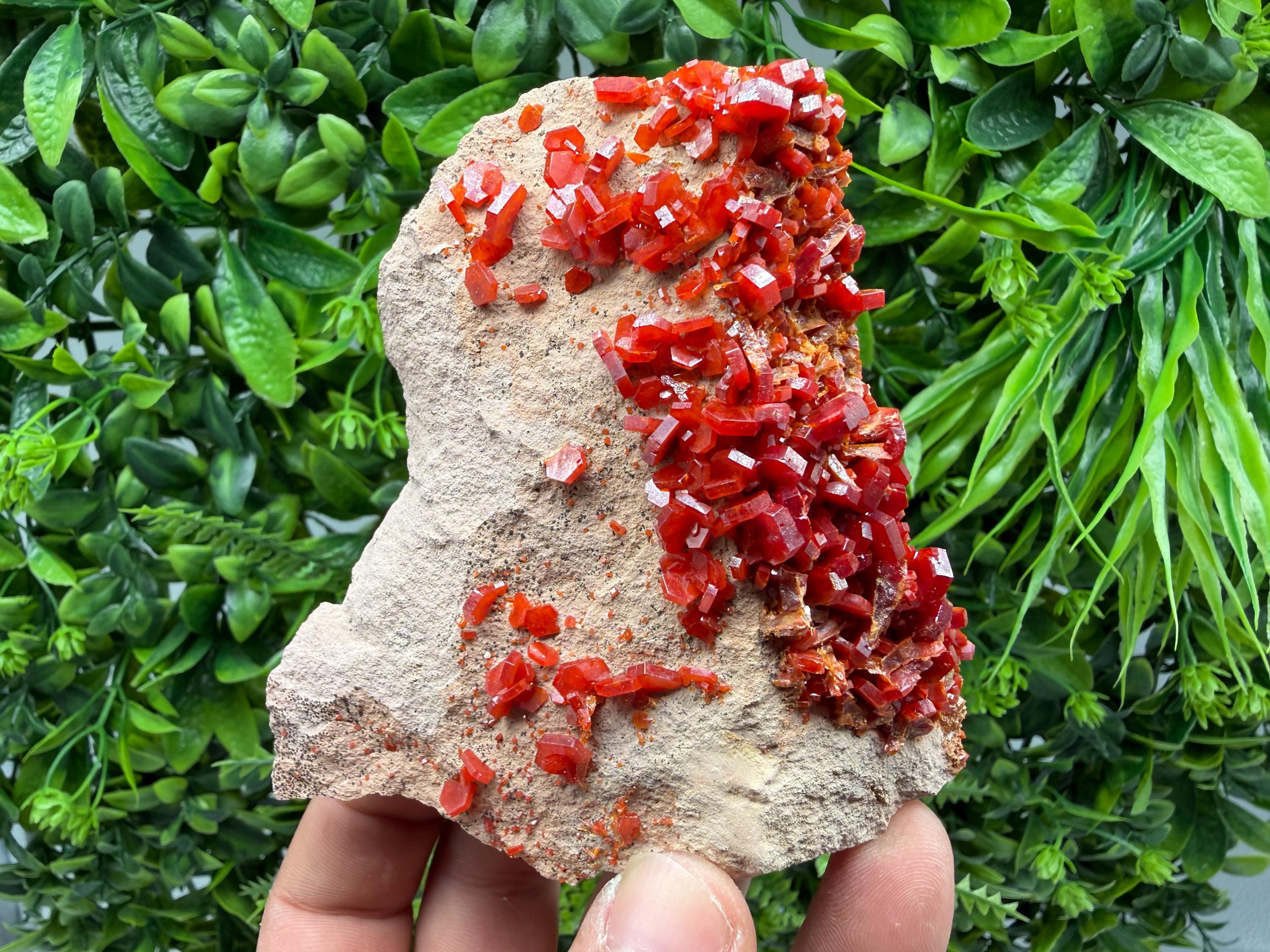 Red Vanadinite on Matrix from Marocco,crystal minerals Speciment cluster Vanadinite crystal Vanadinite Geology Vanadinite cluster minerals