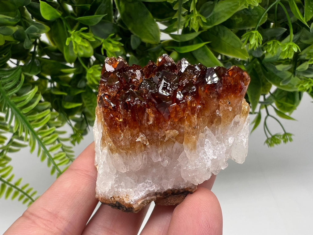 Brazilian Citrine Crystal Cluster with Hematite
