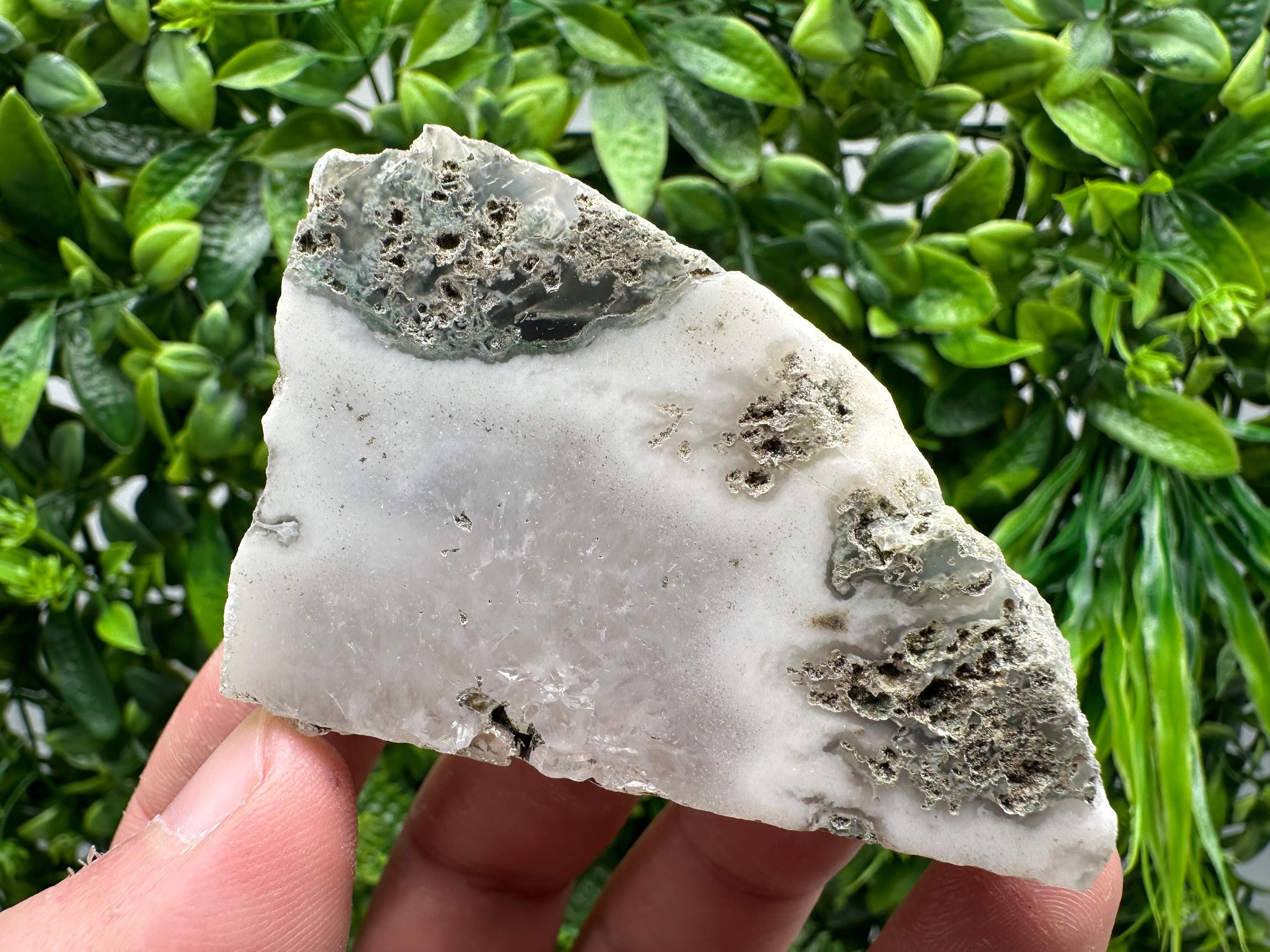 Polished Moss Agate Slab: Crystal Slice (7/5cm, 99 grams)