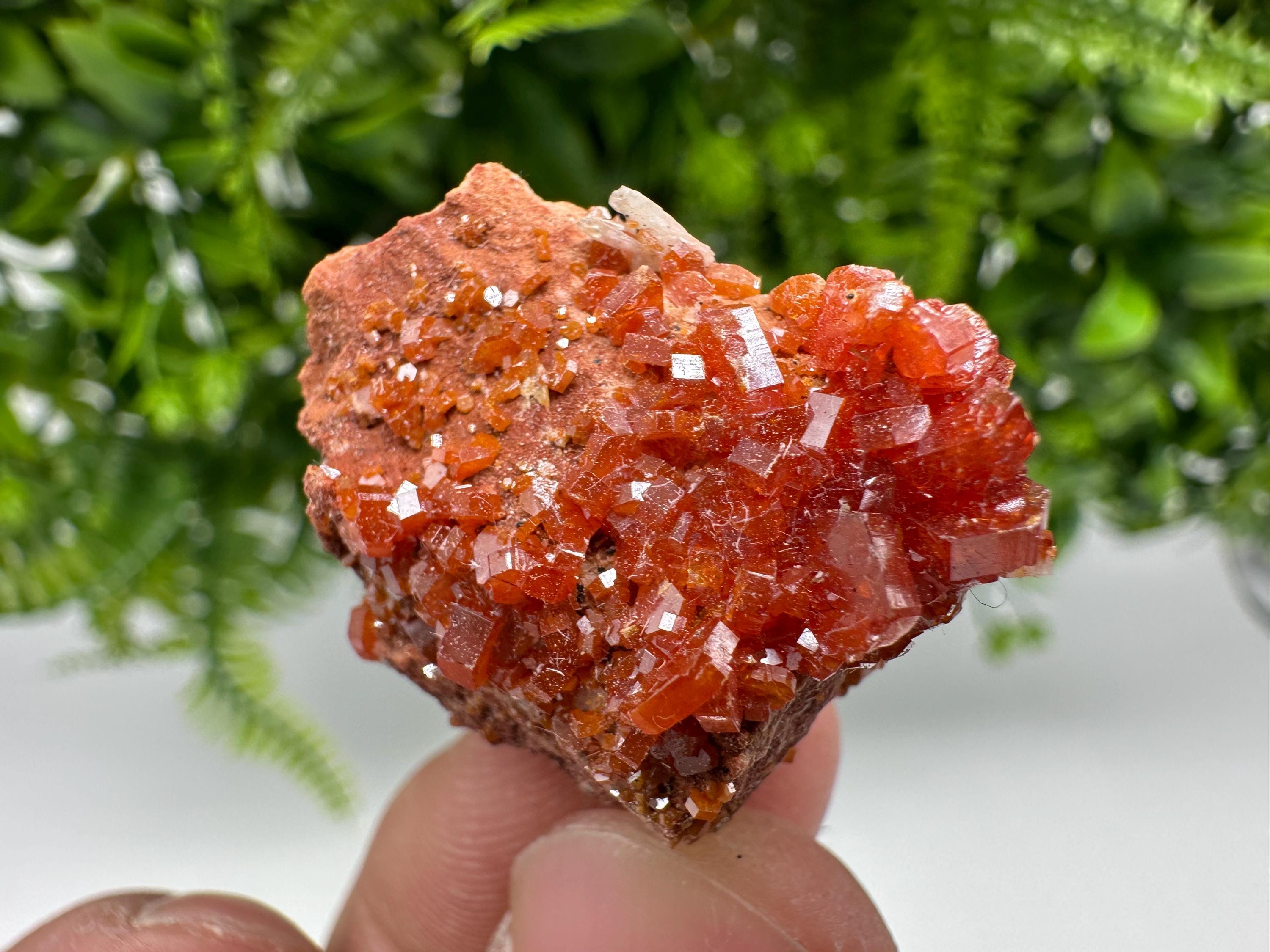 Red Vanadinite Crystal Cluster on Barite, Morocco Mineral Specimen