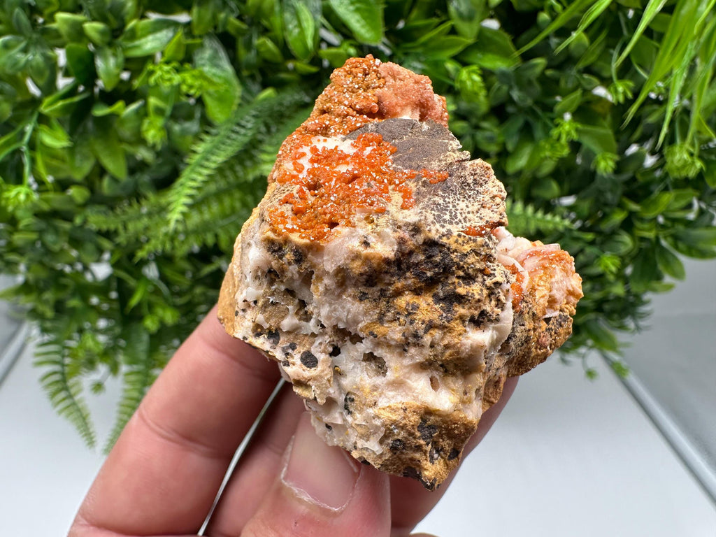 Red Vanadinite on Barite from Marocco,crystal minerals Speciment cluster Vanadinite crystal Vanadinite Geology Vanadinite cluster minerals
