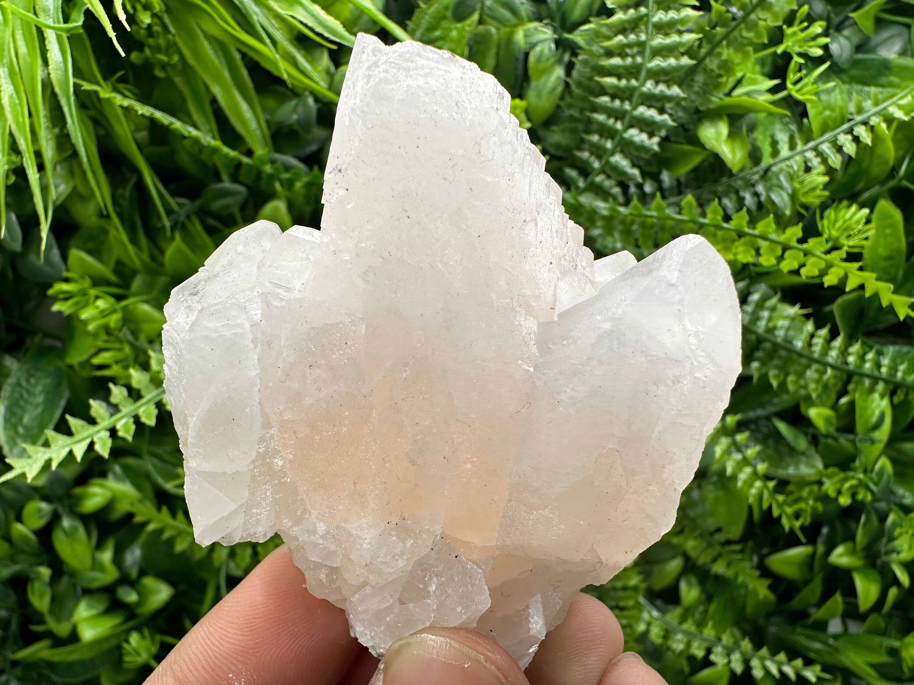 UV Reactive Mangano Calcite Crystal: Androvo Mine, Bulgaria