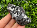 Galena with Sphalerite Mineral Specimen, Borieva Mine, Bulgaria