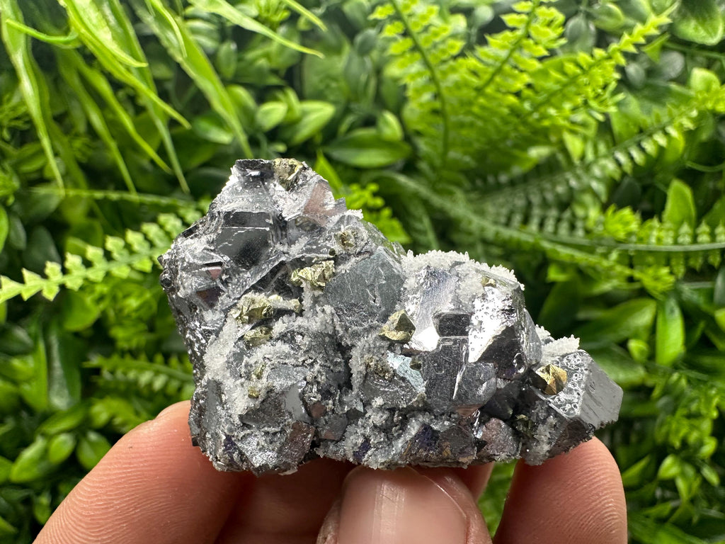 Galena with Chalcopyrite and Quartz, Krushev dol Mineral Specimen