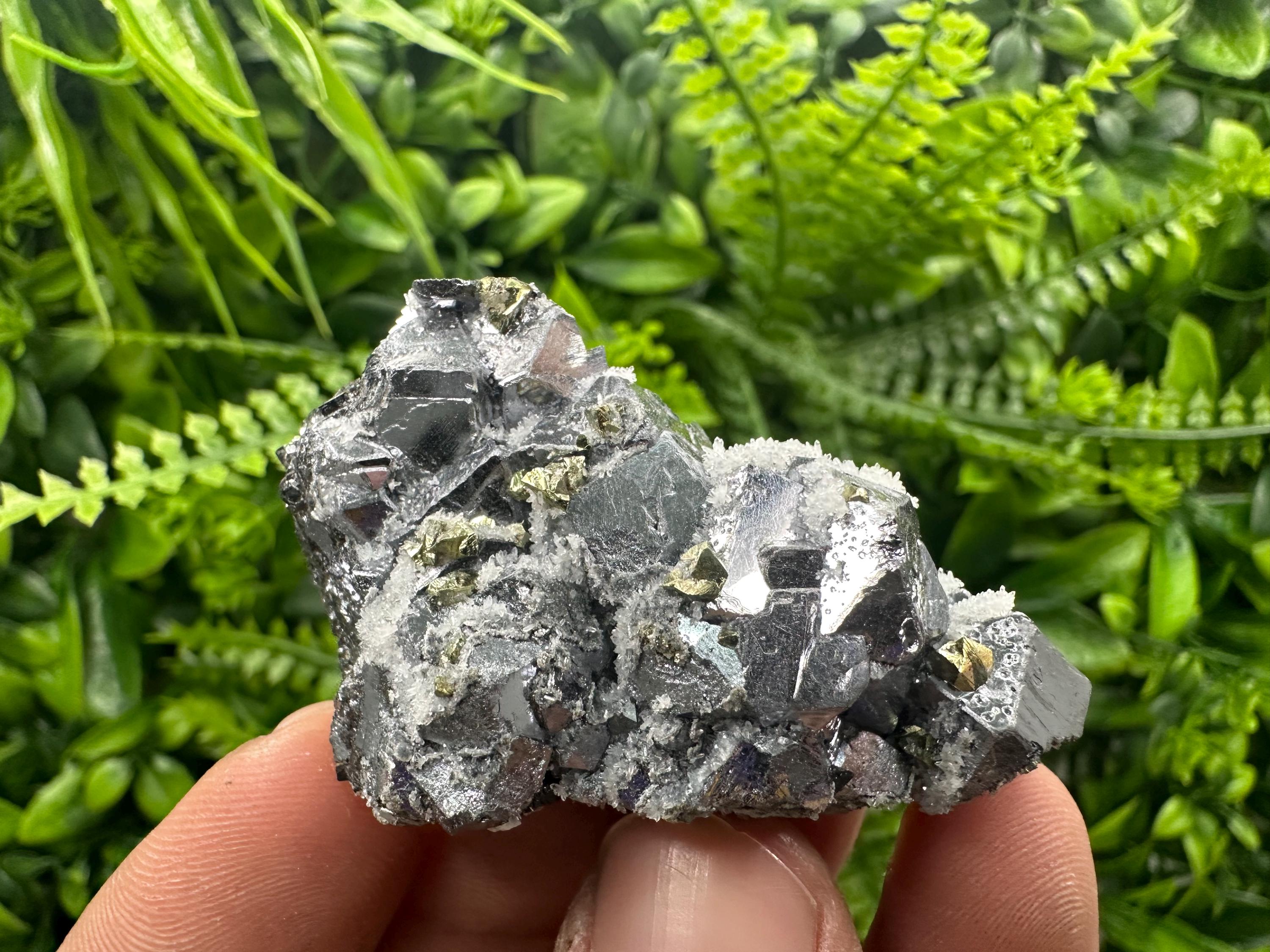 Galena with Chalcopyrite and Quartz, Krushev dol Mineral Specimen