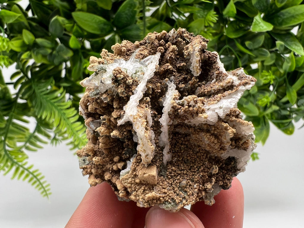Quartz whit Brown Rhodochrosite from Djurcovo mine,Bulgaria,Quartz,Rhodochrosite cluster,natural mineral,collection crystal,mineral specimen
