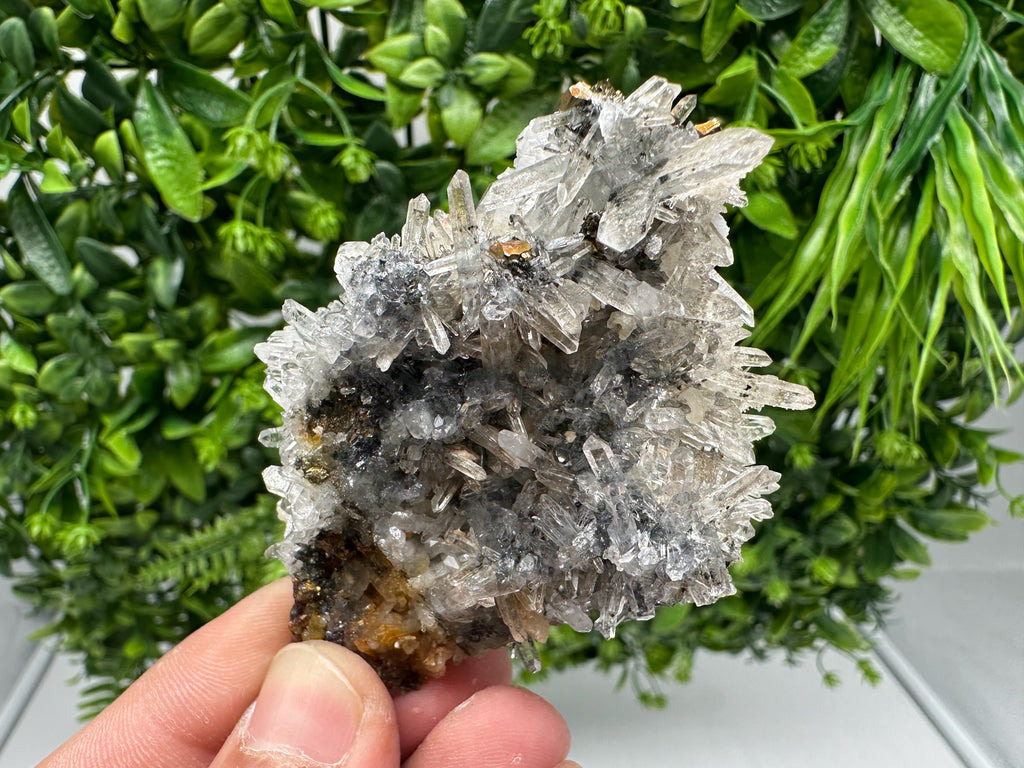 Rainbow Pyrite with Quartz: Natural Mineral Souvenir, Bulgaria