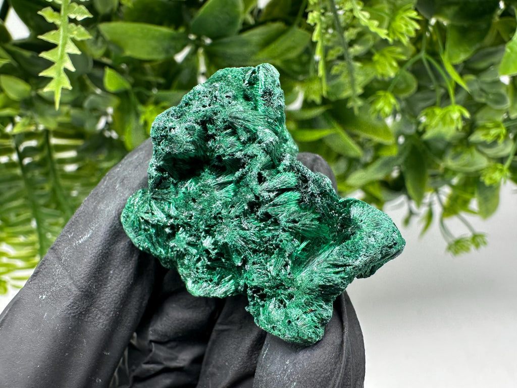 Malachite Crystal from Congo,Minerals,Crystals from Congo,Green Malachite, Malachite,Natural Malachite,Malachite Stone,Chakra, Specimens