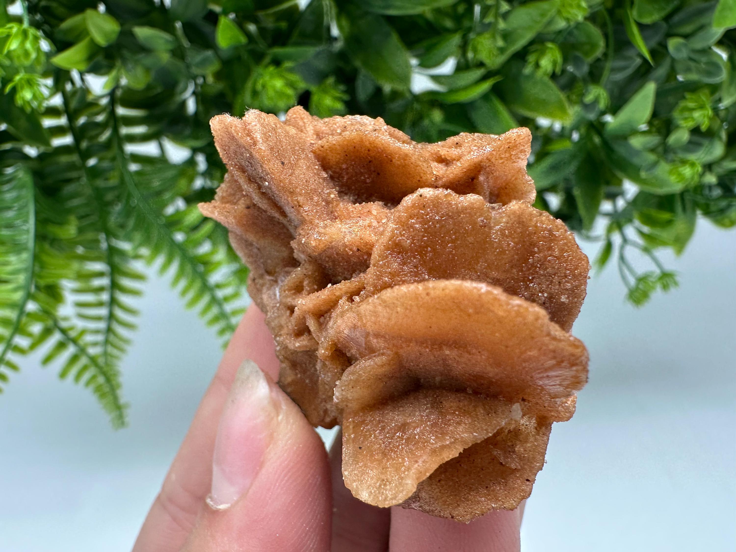 Desert Rose Crystal: Root Chakra Healing Selenite Stone