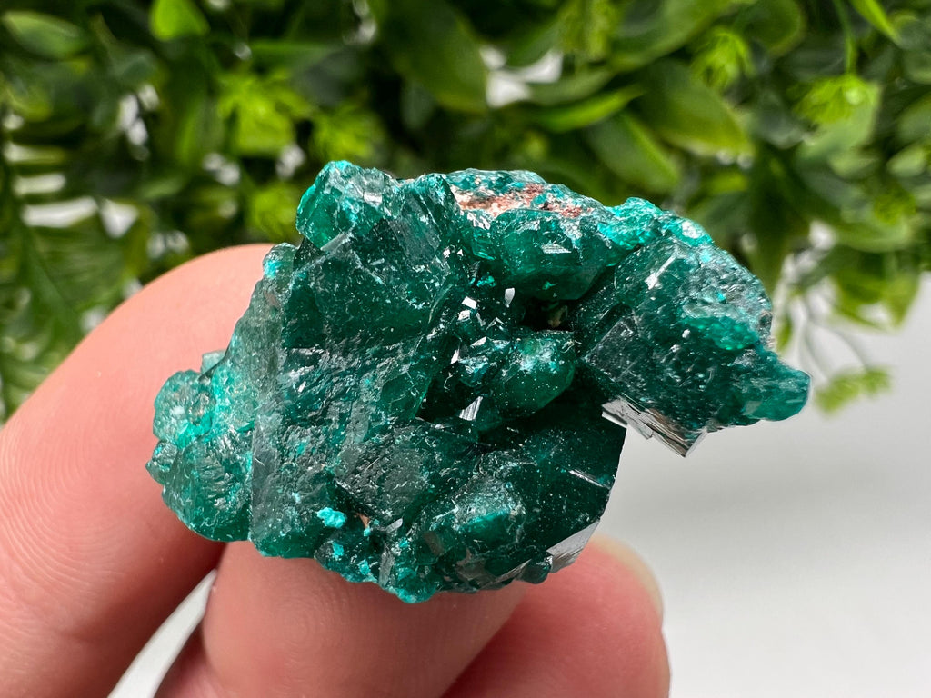 Stunning Green Dioptase from Sanda Hills,Mindouli,Pool Department,Mindouli District,Congo,green Dioptase,Dioptas Crystal,Dioptase collecting