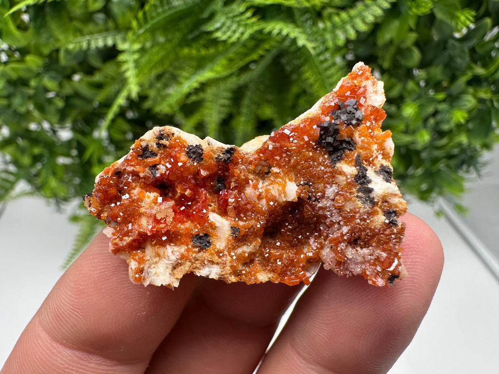 Red Vanadinite on Barite from Marocco,crystal minerals Speciment cluster Vanadinite crystal Vanadinite Geology Vanadinite cluster minerals