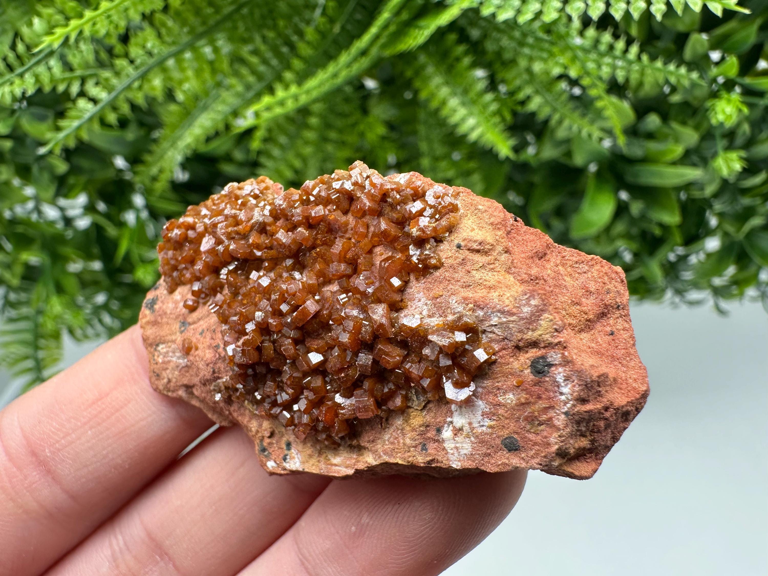 Red Vanadinite on Matrix from Marocco,crystal minerals Speciment cluster Vanadinite crystal Vanadinite Geology Vanadinite cluster minerals