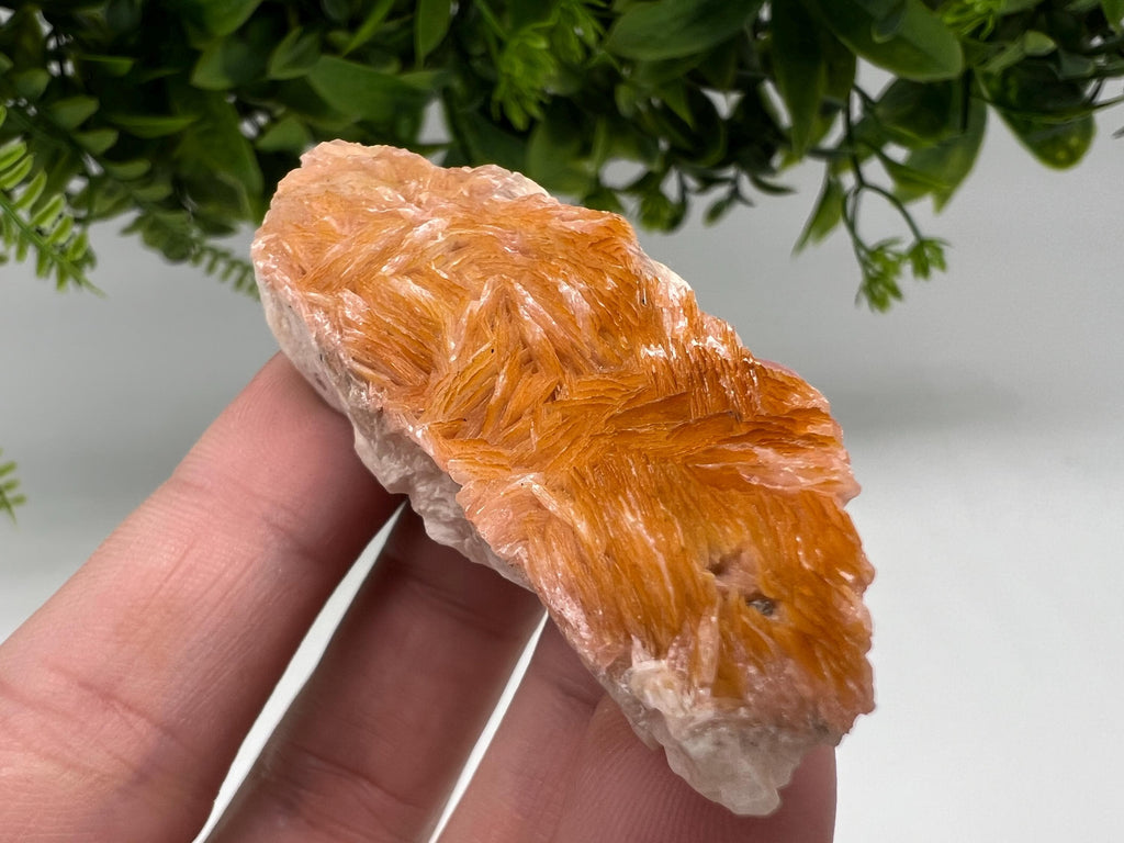 Wonderful Baryte with Cerussite on Galena from Morocco,Crystal, Mineral,Specimen,Cluster,Crystals,Barite Crystal,Cerussite Crystal,Specimen