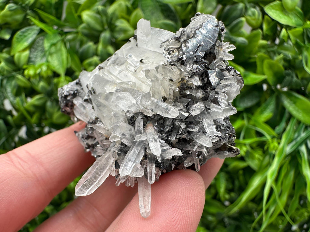 Wonderful Sphalerite Chalcopyrite on  Quartz whit Galena feom 9 th September mine,Bulgaria,natural,collection mineral specimen,gift