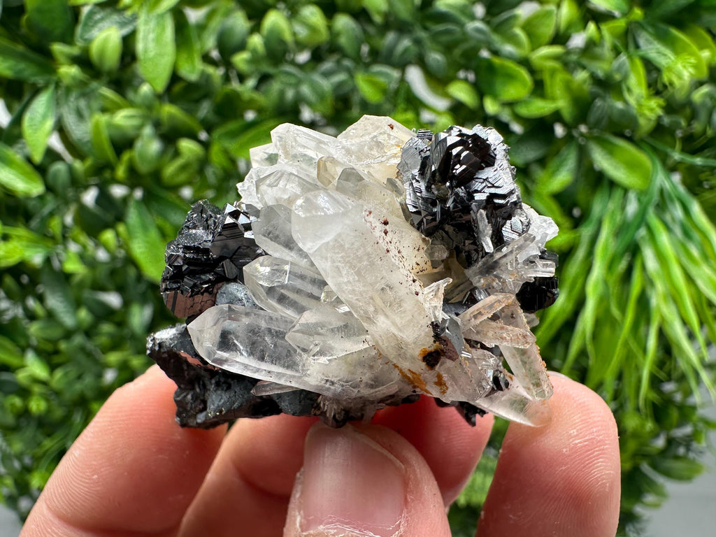 Wonderful Sphalerite Chalcopyrite on  Quartz whit Galena feom 9 th September mine,Bulgaria,natural,collection mineral specimen,gift