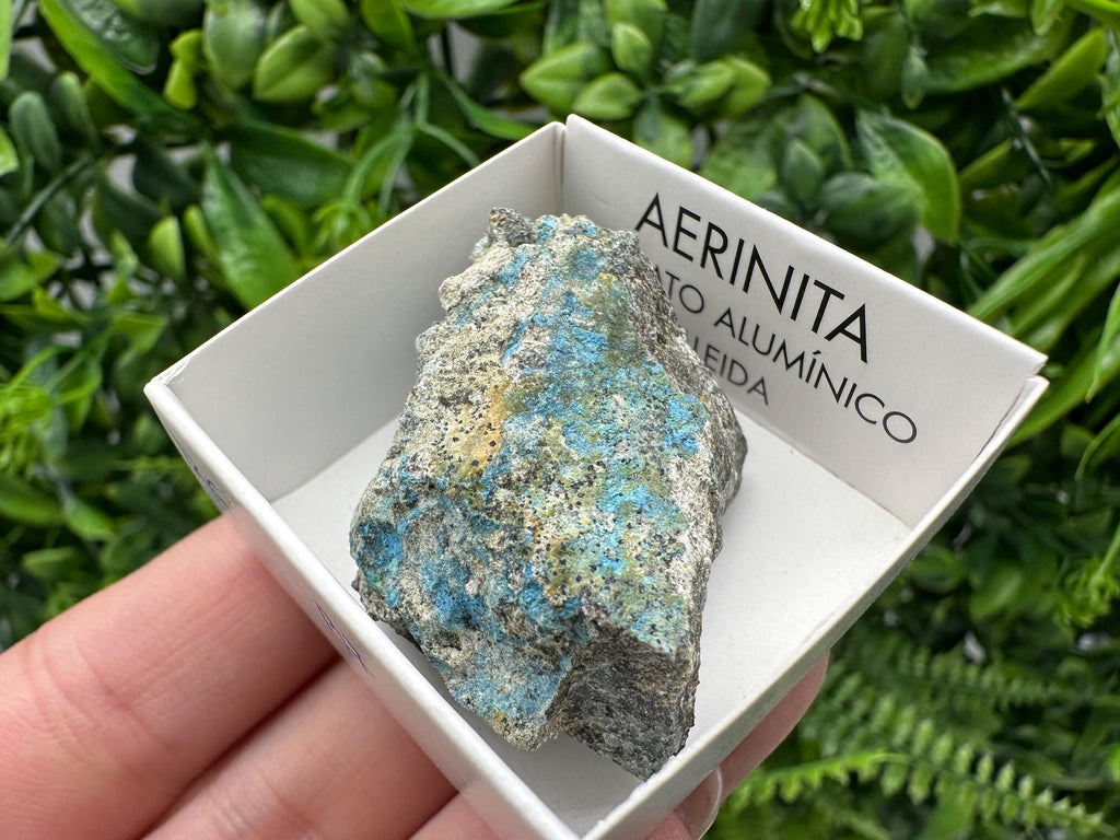 Rare Raw Aerinite Mineral Specimen: Lleida, Spain Crystal
