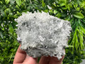 Quartz Crystal with Galena, Chlorite Matrix Mineral Specimen
