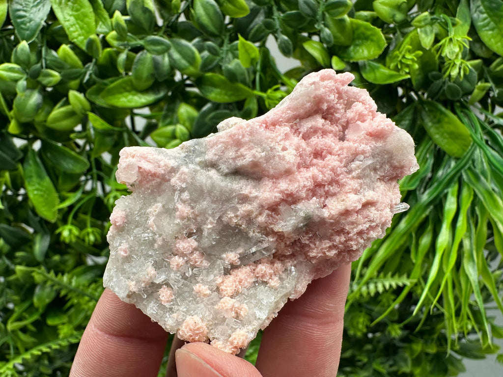 Rhodochrosite on Quartz, Starnica Mine, Bulgaria Crystal
