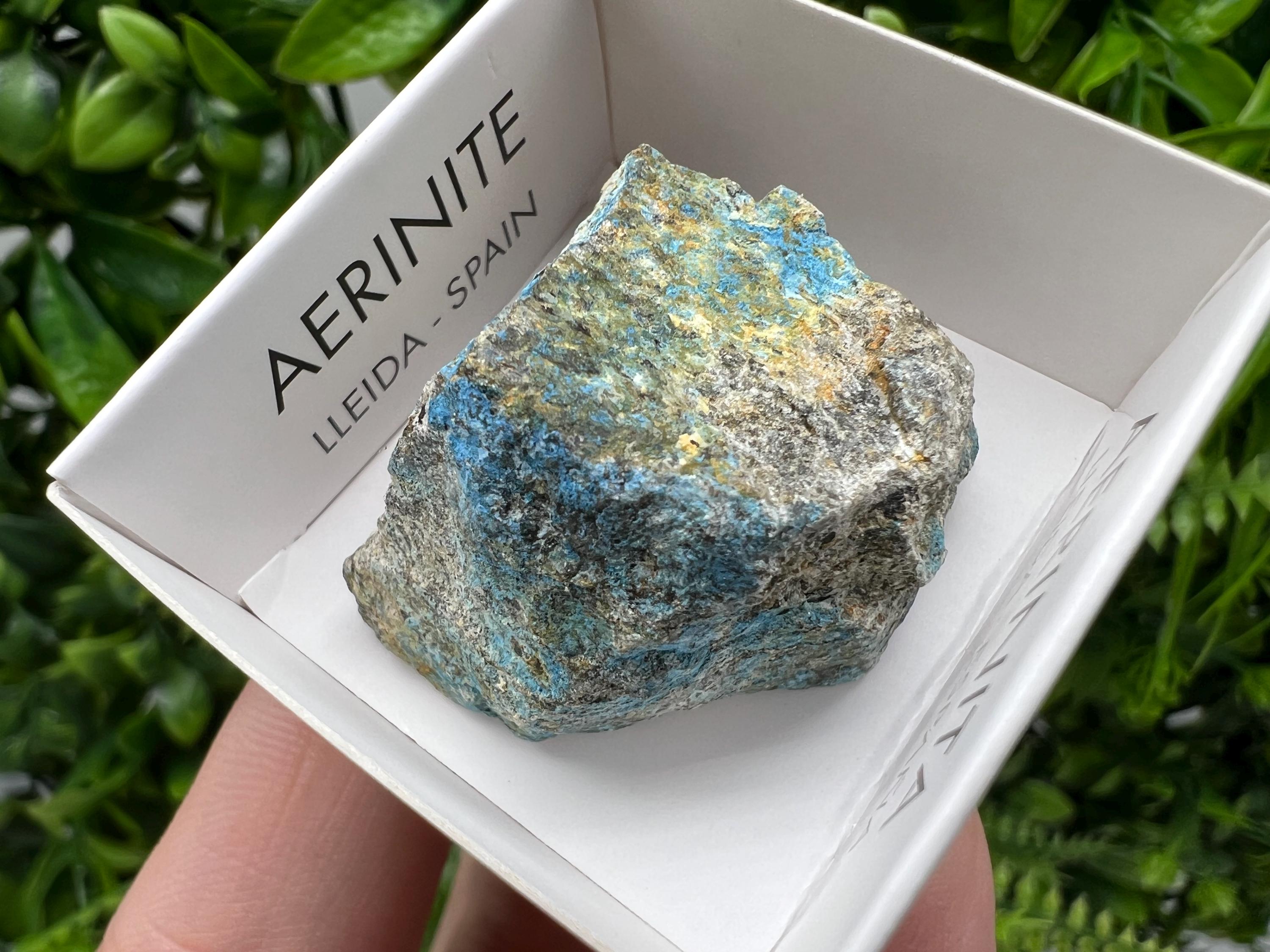 Rare Raw Aerinite Mineral Specimen: Lleida Spain Crystal