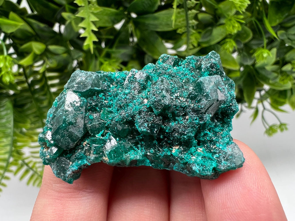 Stunning Green Dioptase from Sanda Hills,Mindouli,Pool Department,Mindouli District,Congo,green Dioptase,Dioptas Crystal,Dioptase collecting
