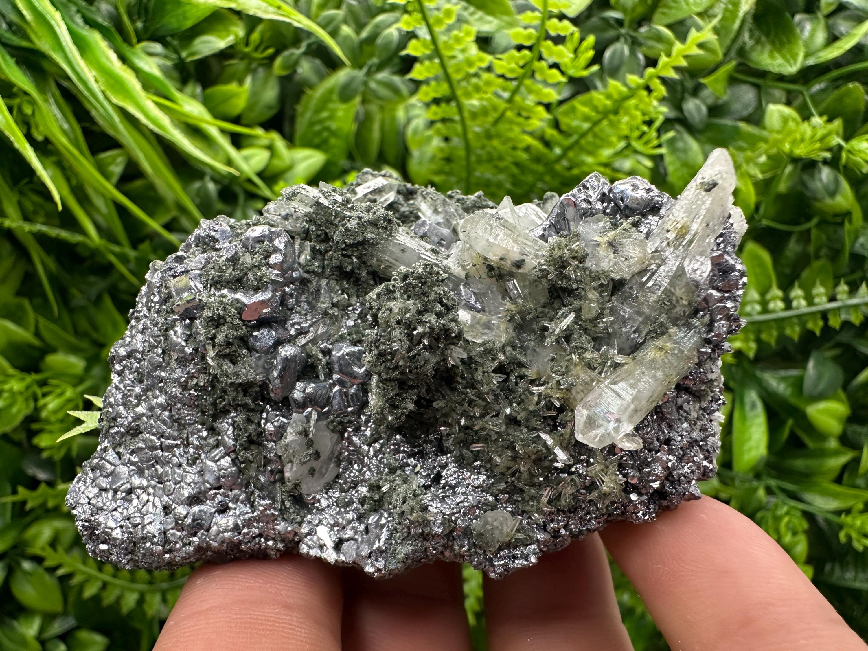 Galena with Quartz and Chlorite, Bulgaria Mineral Specimen