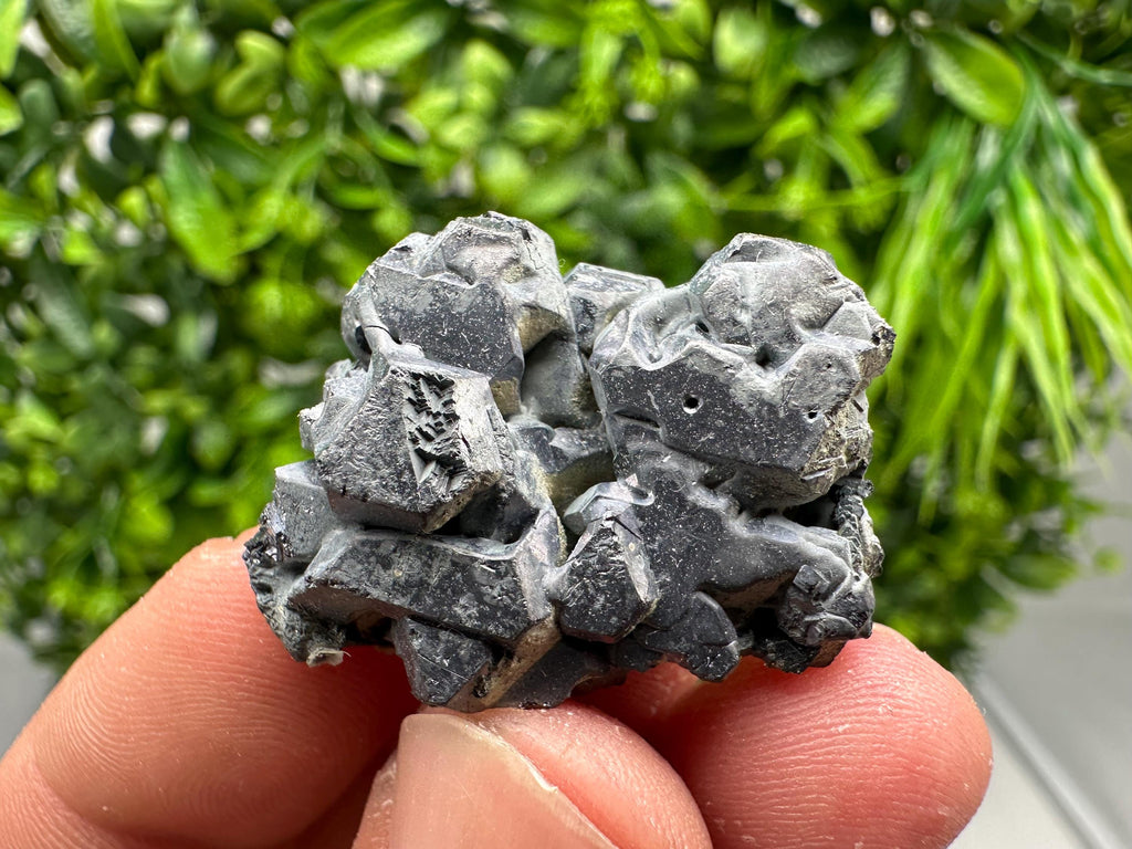 Shiny Galena Cluster: Borieva Mine, Bulgaria - Natural Mineral Stone
