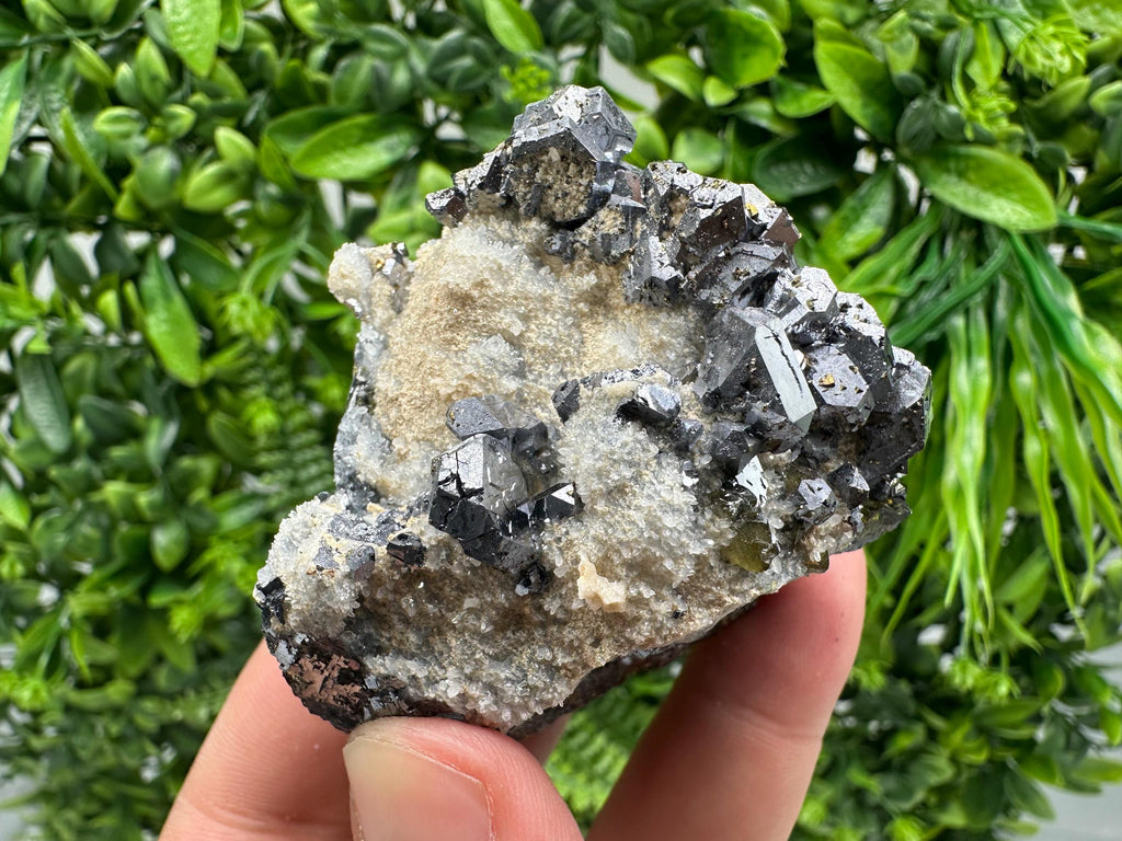 Galena Sphalerite Mineral Specimen: Krushev Dol Mine, Bulgaria